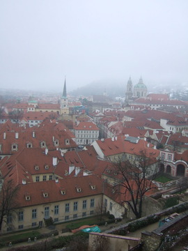DSCF9376