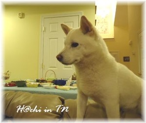 �ܥ��ˤ⤴�Ϥ���礦������