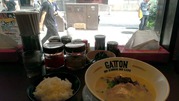 gatton 2