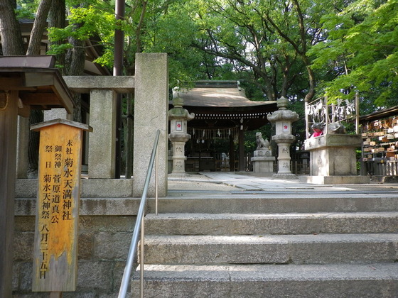 IMGP0049