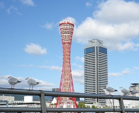 かもめ