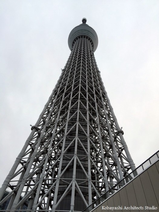 S__28614659