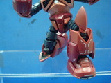 DSC00646