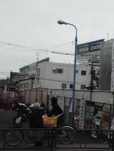 lotte