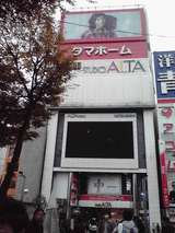 altamae