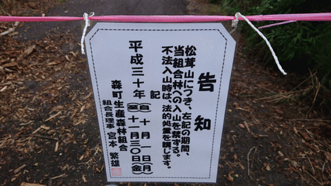 imageうぇうぇ