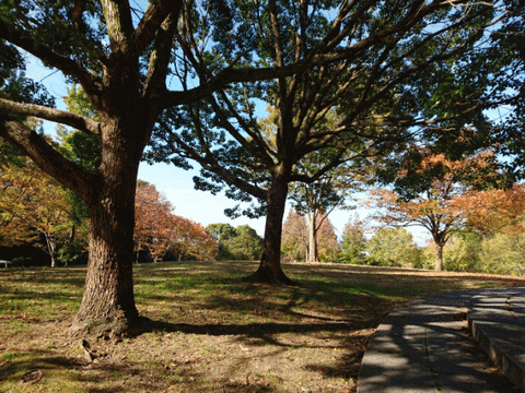 公園