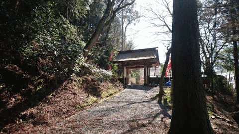 寺
