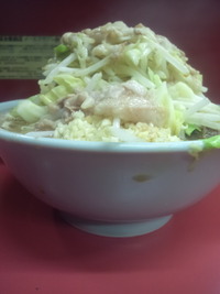 skrdi04