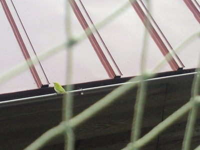 0e046190.jpg