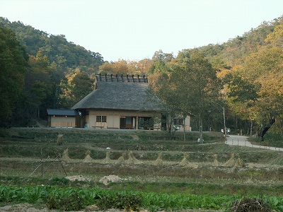 PICT0608
