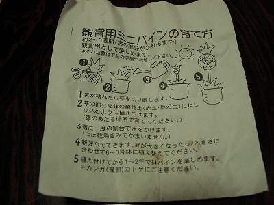 育て方メモ