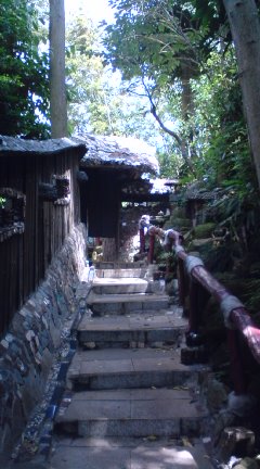 竹やぶ1