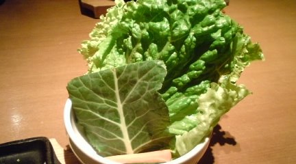 ����󥸥�6��ʪ���