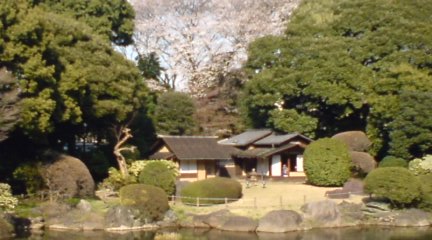 庭園1