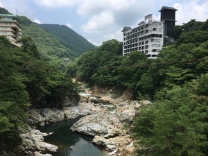 IMG_6006