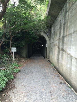 大津島-05