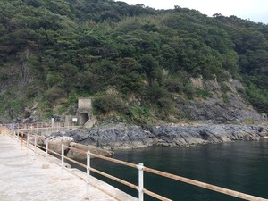 大津島-09