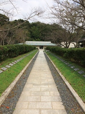 大津島-10