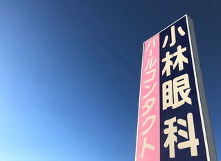 2019始動