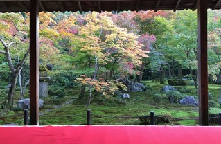 圓光寺