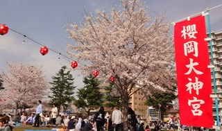 仙台の桜