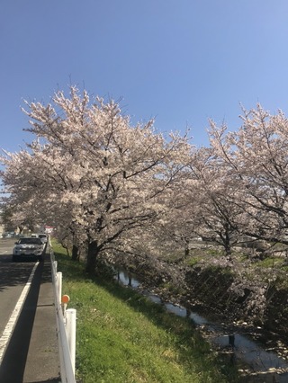 記念の一枚
