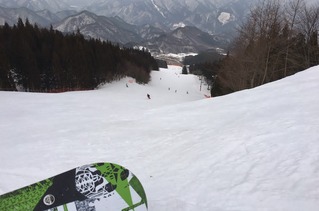 2017ノルン