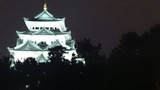 41624940.jpg