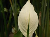 200658
