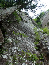 P6140182