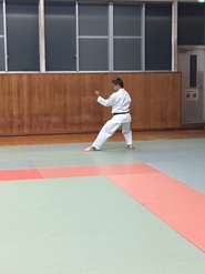 line_666350109475328