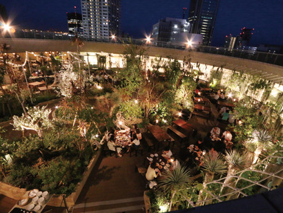 TOOTH-TOOTH-Beer-Garden-6