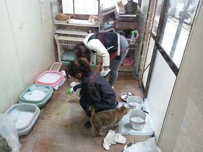 IMG_20170220_111154