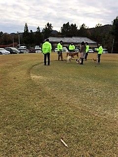 IMG_2394 (2)