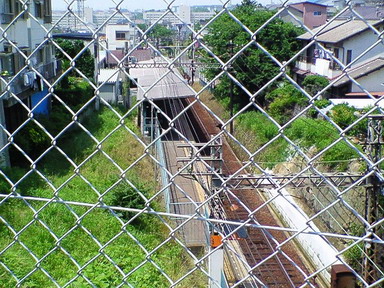 748b4f67.jpg