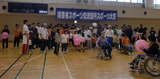 bd8b626b.jpg