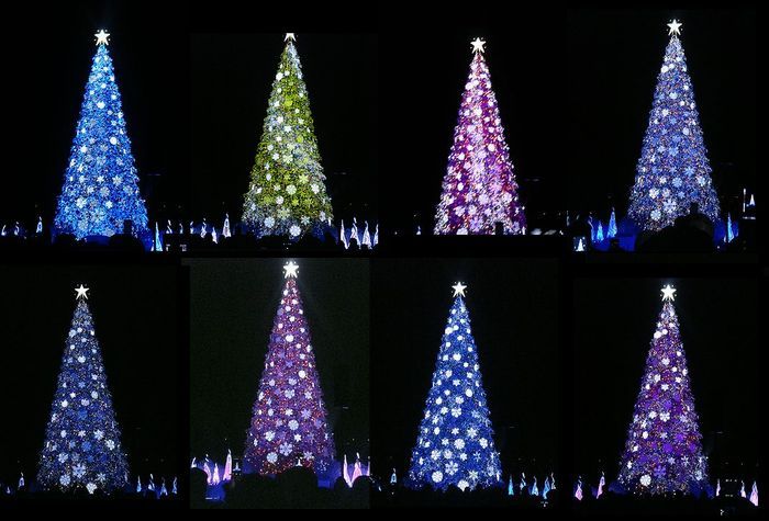 18クリスマスツリー