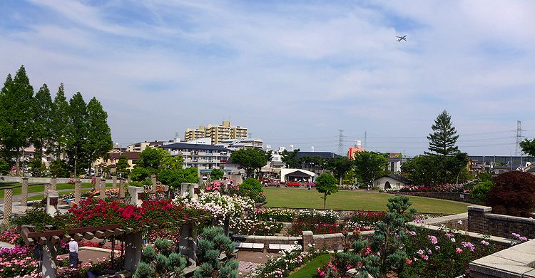 バラ公園08