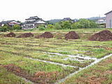5342f584.jpg