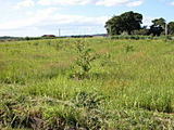 cb0667a0.jpg