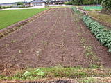 d4085c5b.jpg