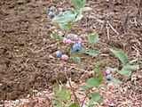 deeae8d4.jpg