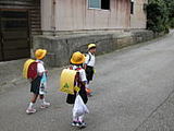 ff0a5611.jpg