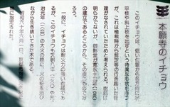 20151216 ¶ä°É (3)