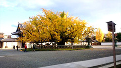 20151216 ¶ä°É (1)