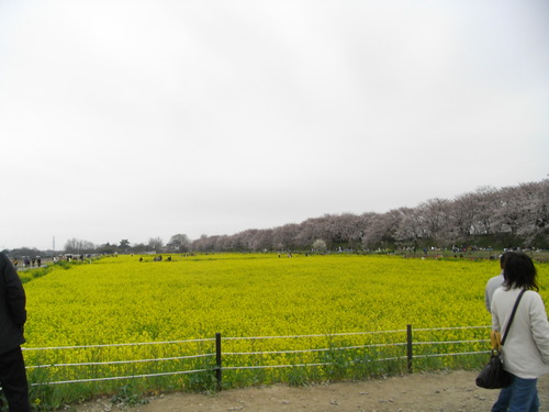 2010 212