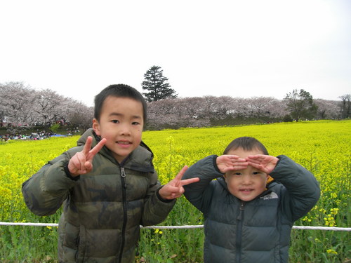 2010 207