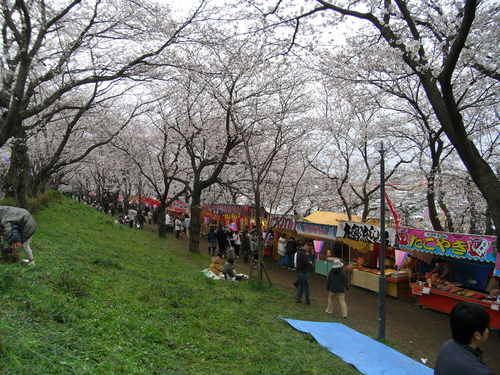 2010 219