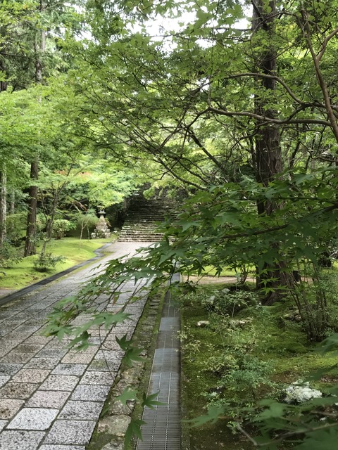 A8E1E452-2485-4AC9-97BE-723F403F6B67